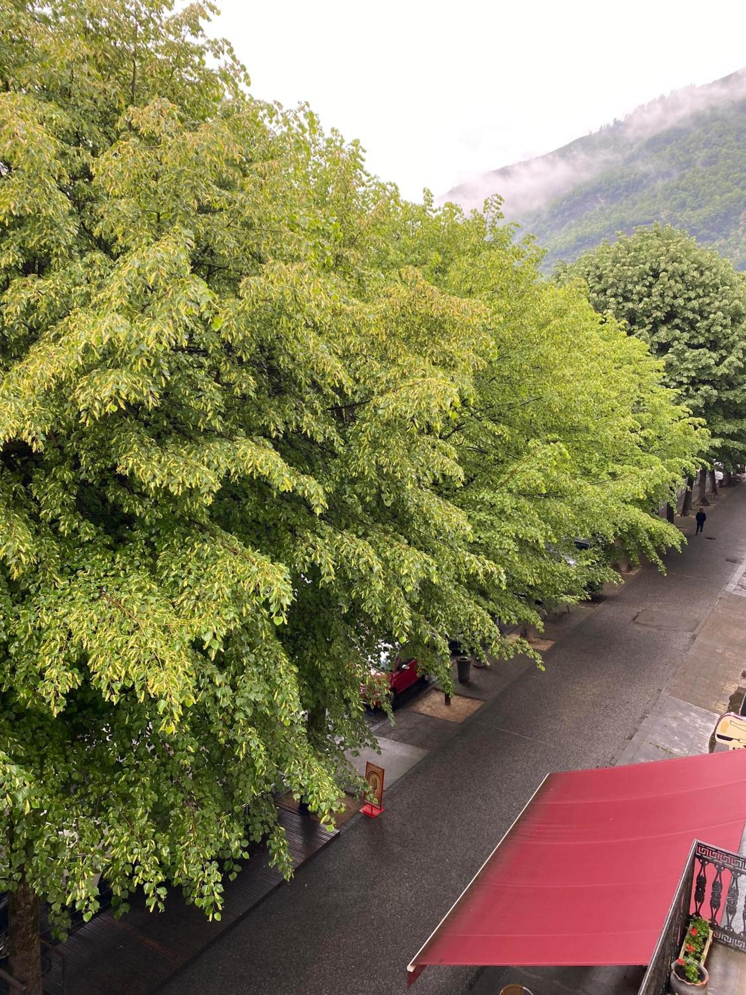 Au 47 Allees D'Etigny - Central & Standing - Avec Parking - Linge De Lit Et De Toilette Inclus Bagneres-de-Luchon Exterior photo